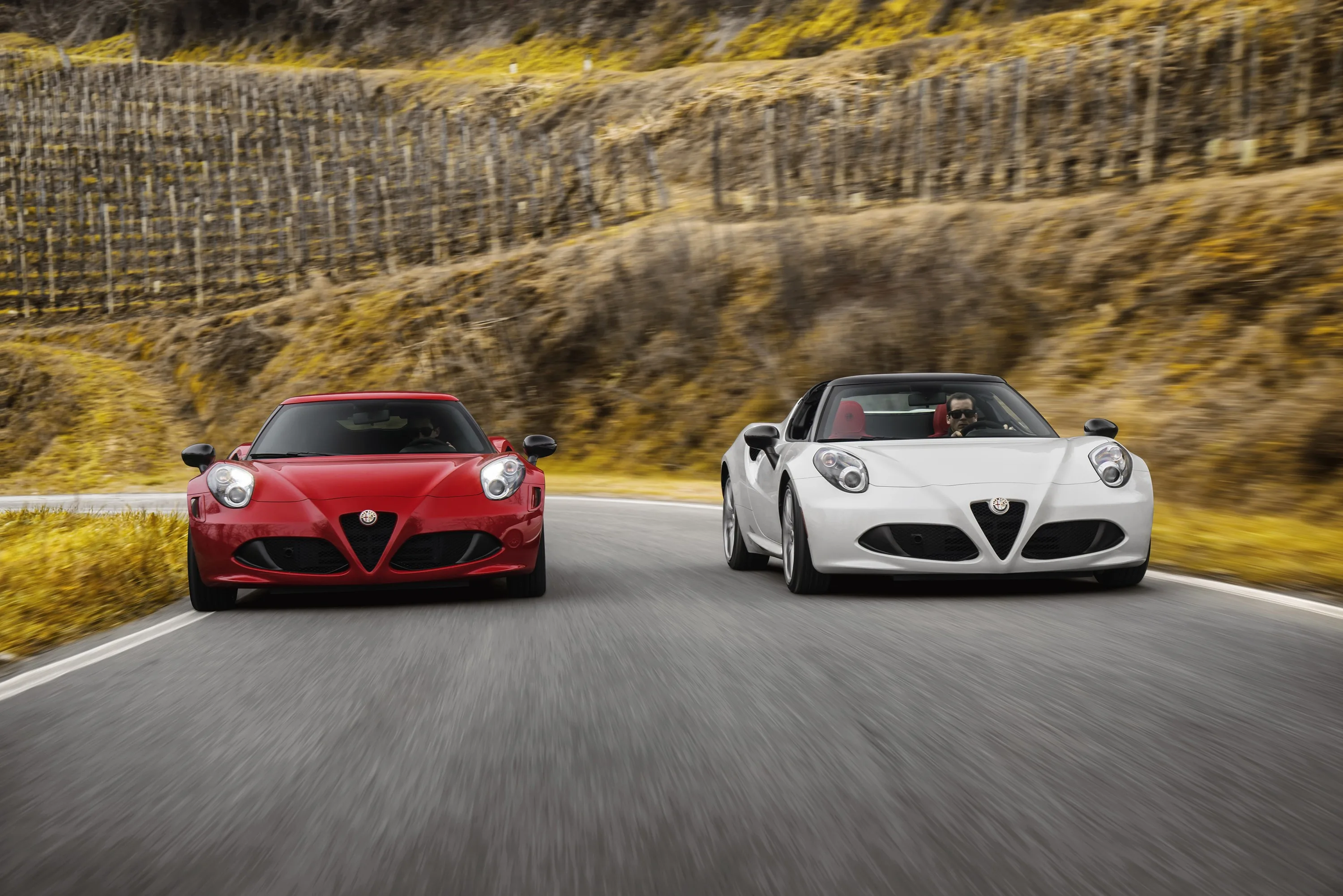 ALFA-ROMEO-4C-4765_30-2.jpg