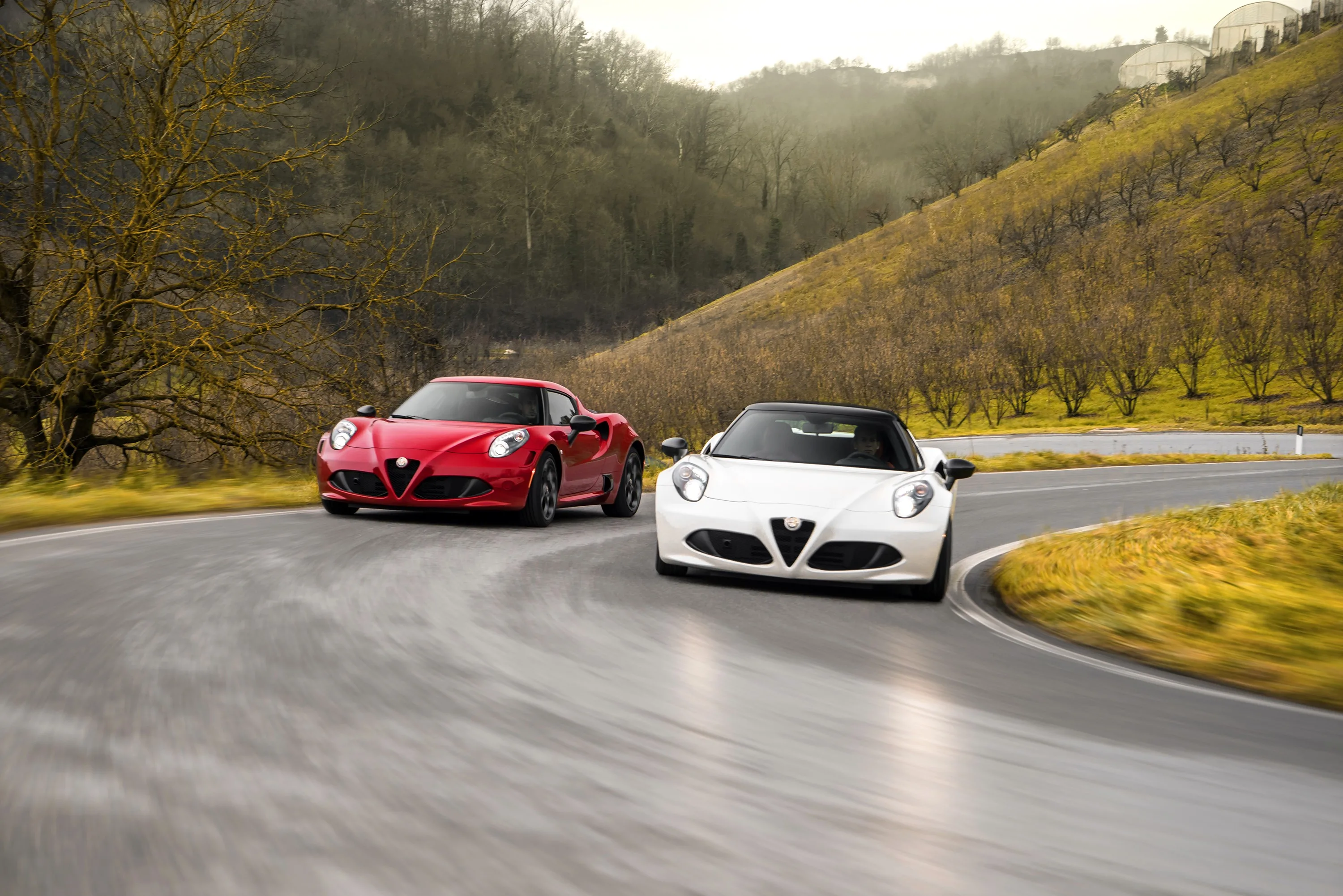 ALFA-ROMEO-4C-4765_35-2.jpg