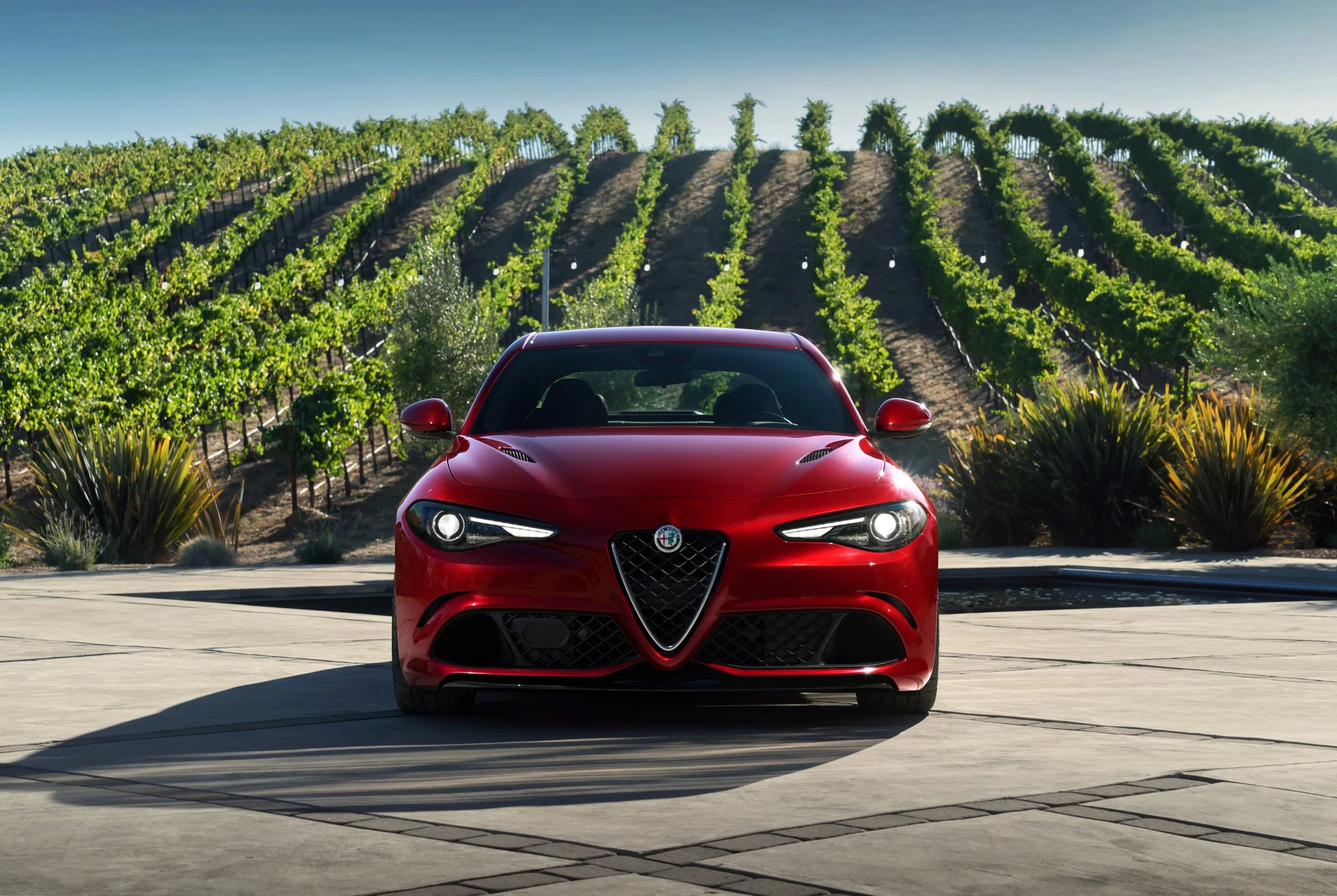 ALFA-ROMEO-Giulia-Quadrifoglio-Verde-5465_21-3.jpeg