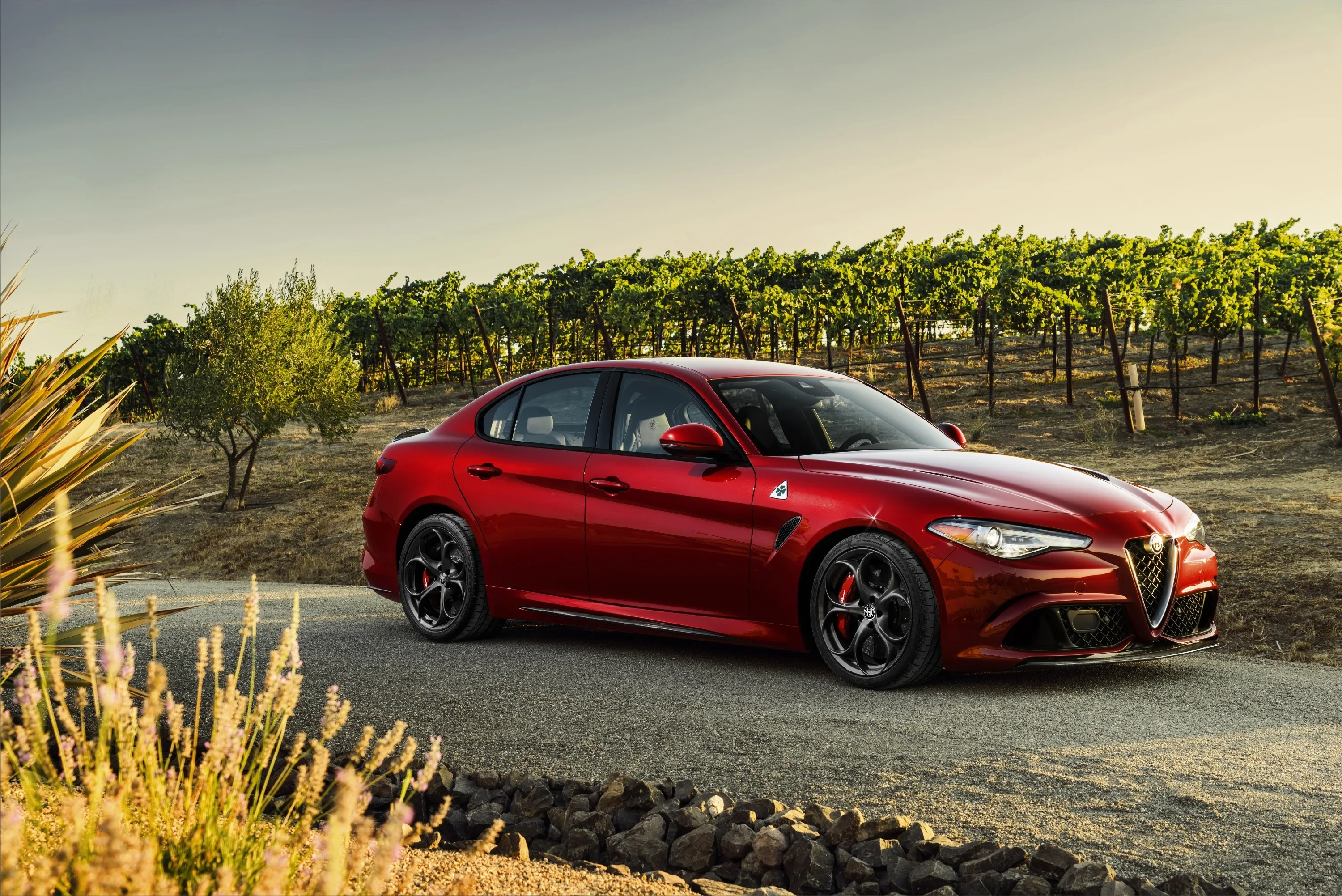 ALFA-ROMEO-Giulia-Quadrifoglio-Verde-5465_22-3.jpeg