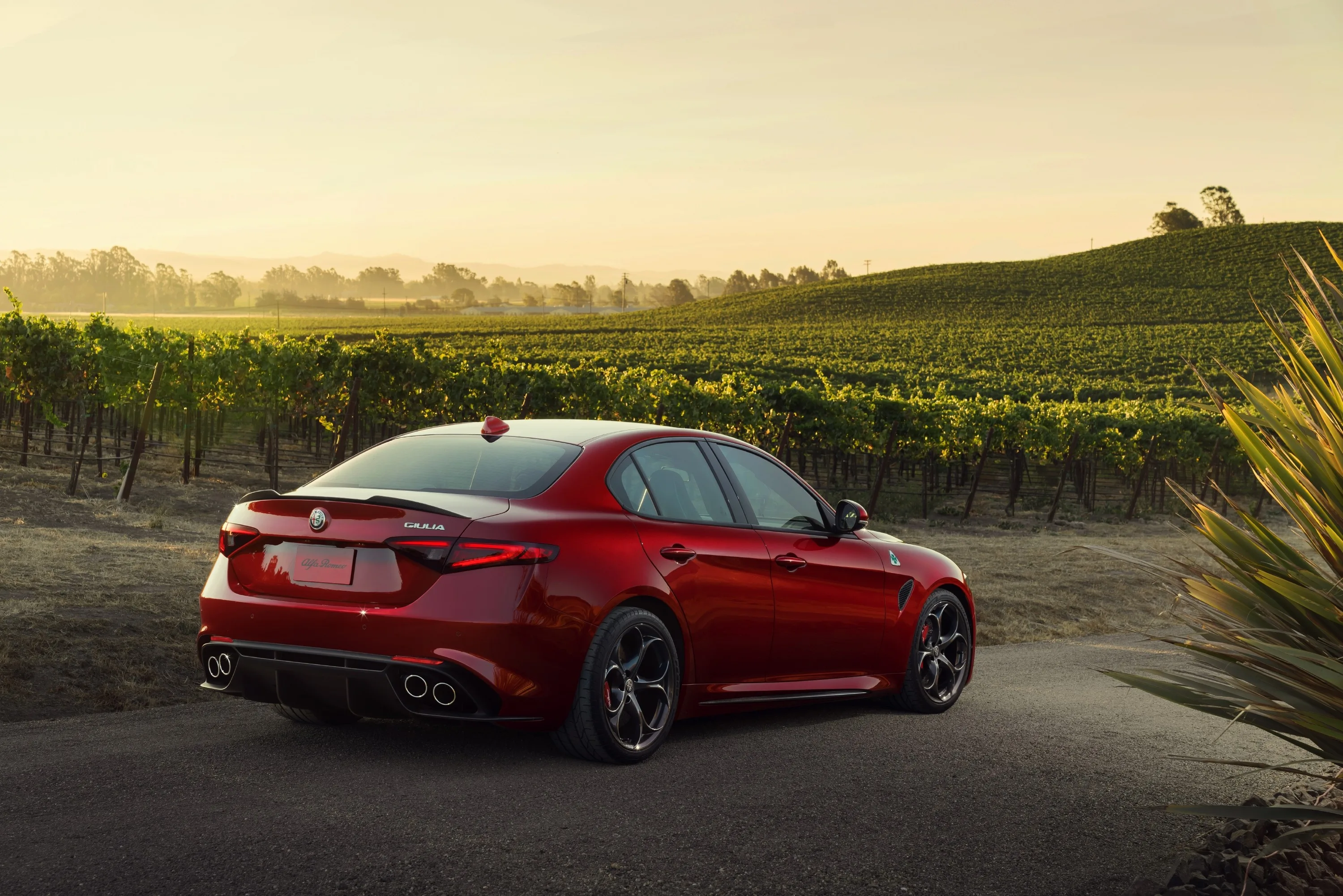 ALFA-ROMEO-Giulia-Quadrifoglio-Verde-5465_24-3.jpeg