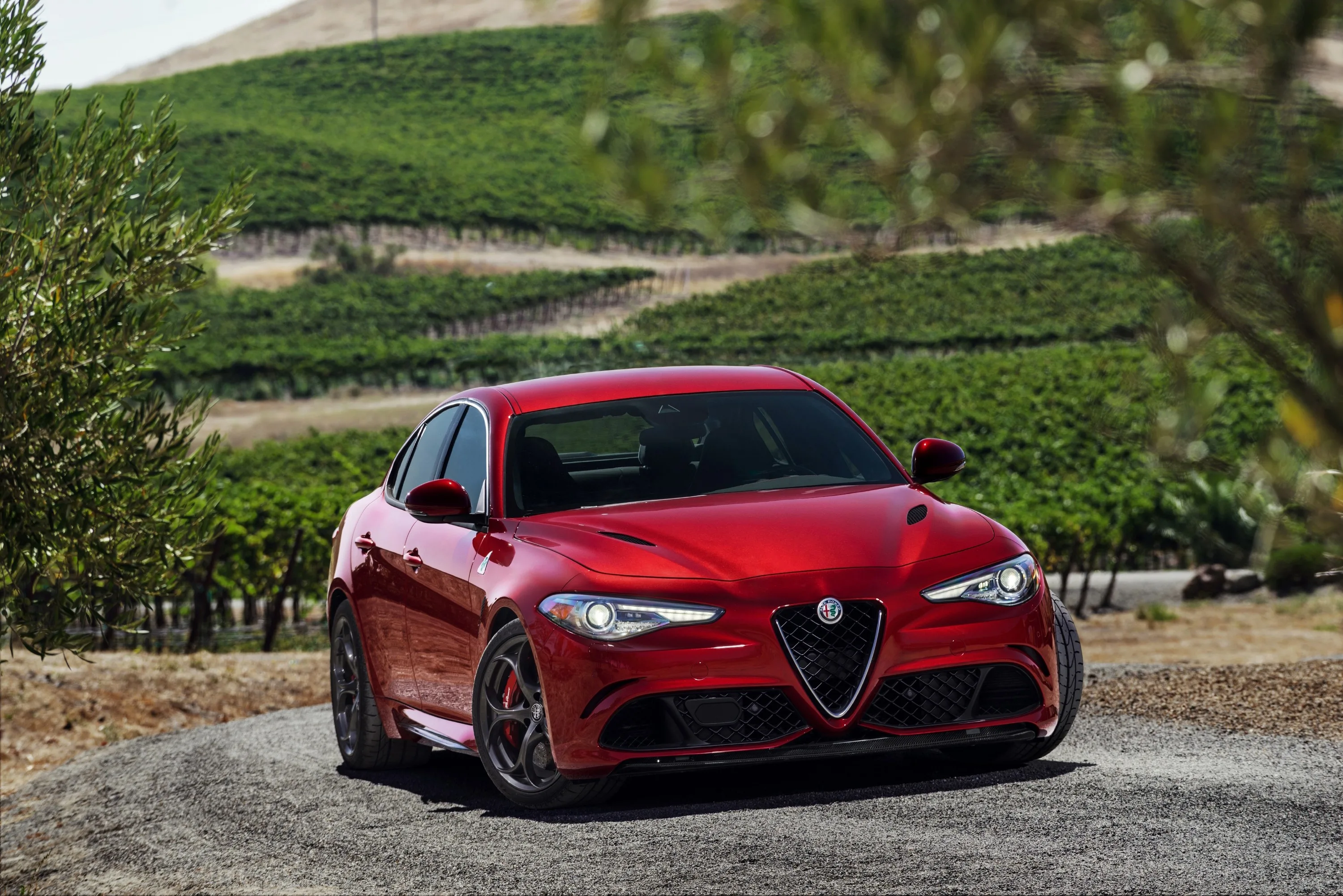 ALFA-ROMEO-Giulia-Quadrifoglio-Verde-5465_28-3.jpeg
