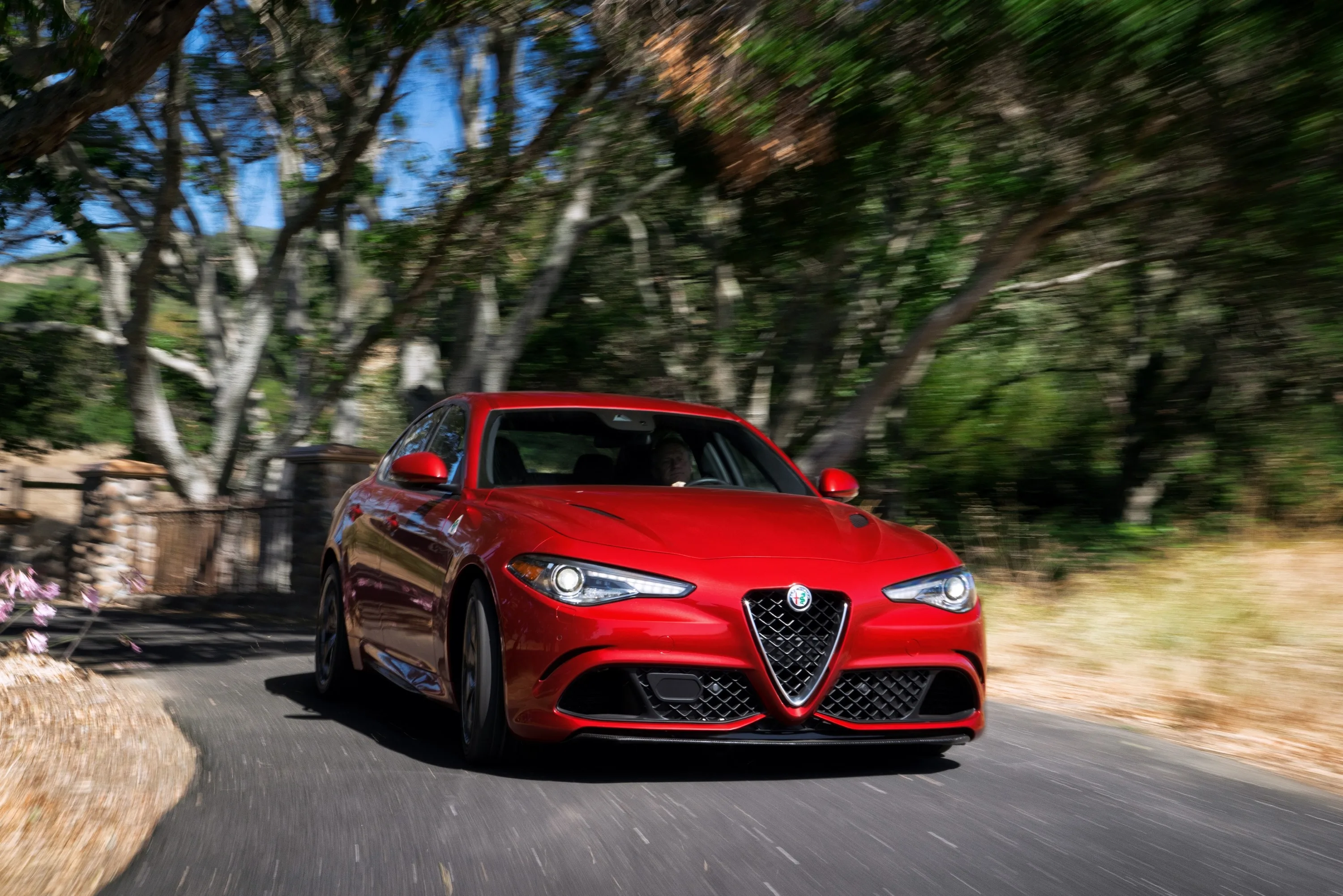 ALFA-ROMEO-Giulia-Quadrifoglio-Verde-5465_38-3.jpeg