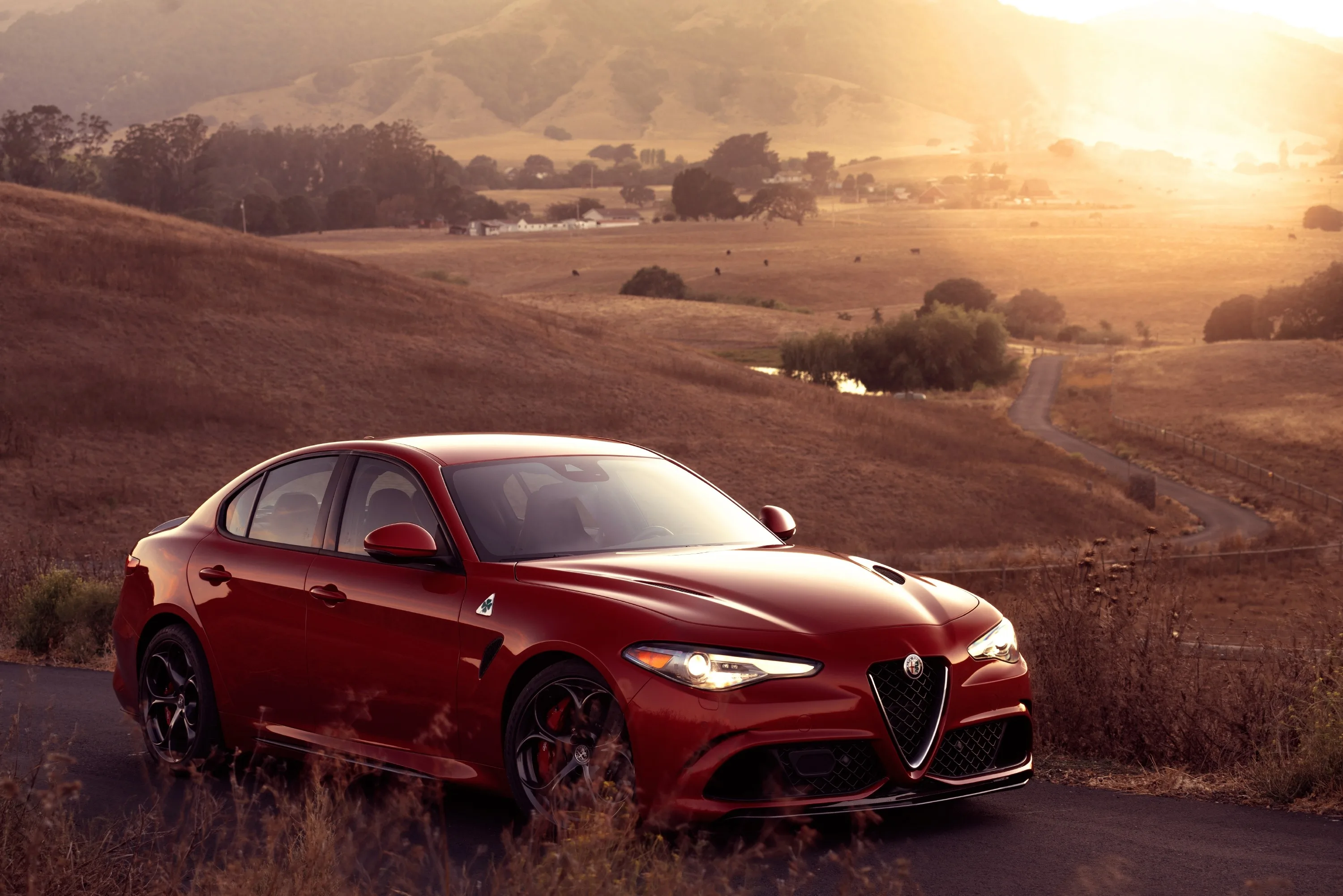 ALFA-ROMEO-Giulia-Quadrifoglio-Verde-5465_39-3.jpeg