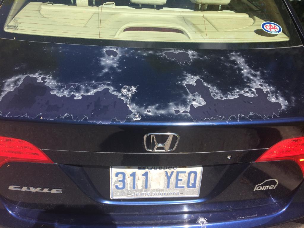 Honda Civic VIII: Rysujący się lakier i szybka liczników – delikatne materiały?
