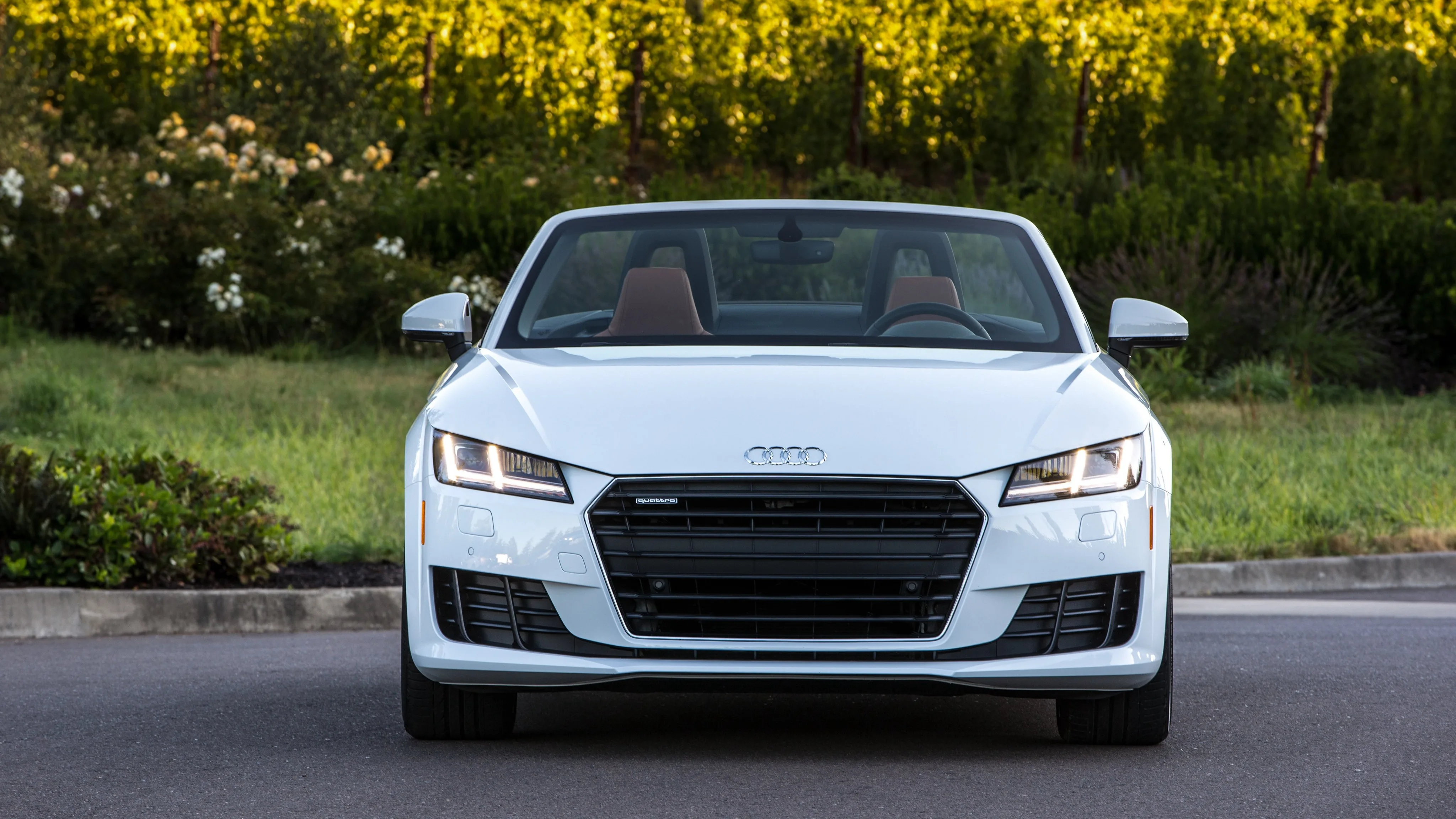 AUDI-TT-Roadster-5299_67.jpeg