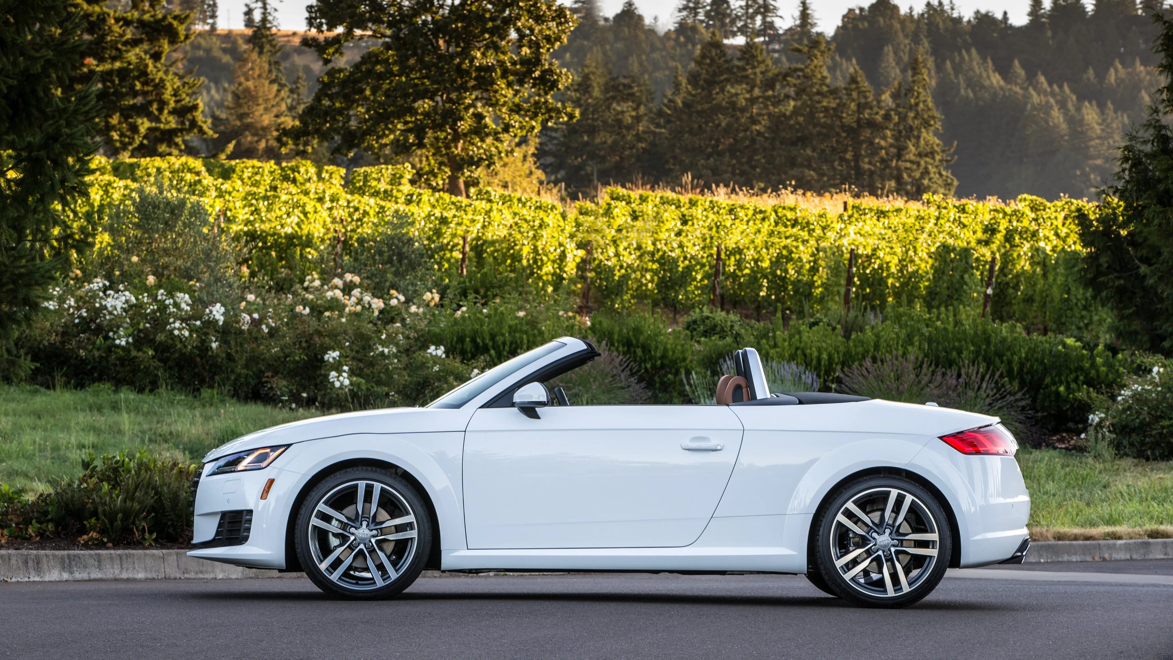 AUDI-TT-Roadster-5299_75.jpeg