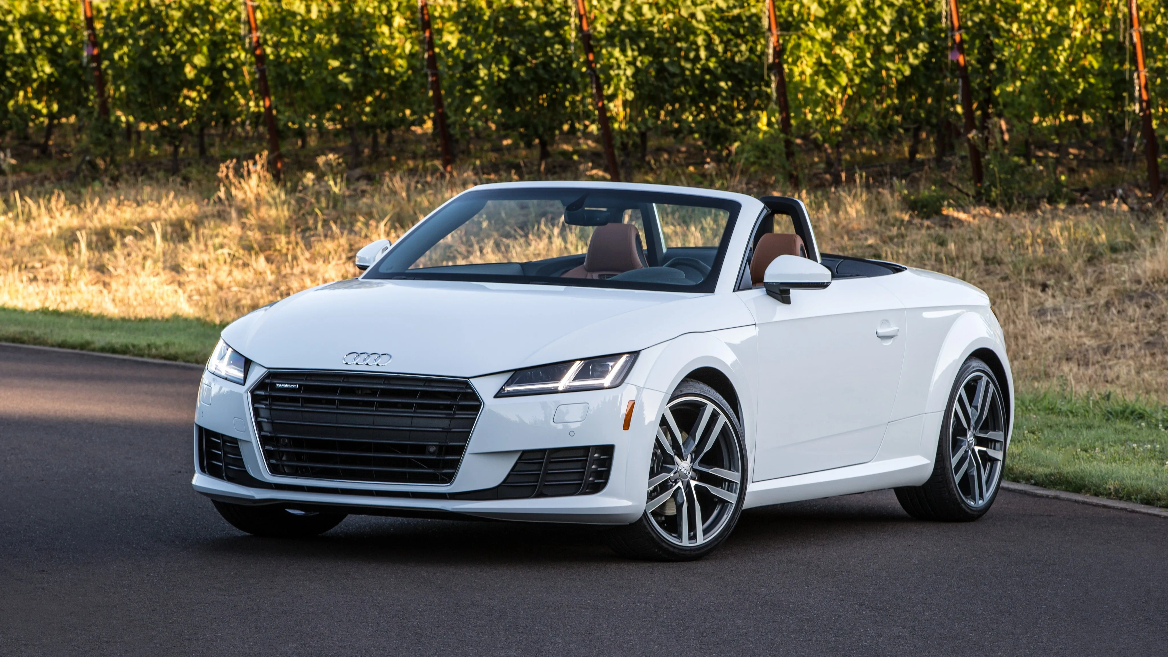 AUDI-TT-Roadster-5299_80.jpeg