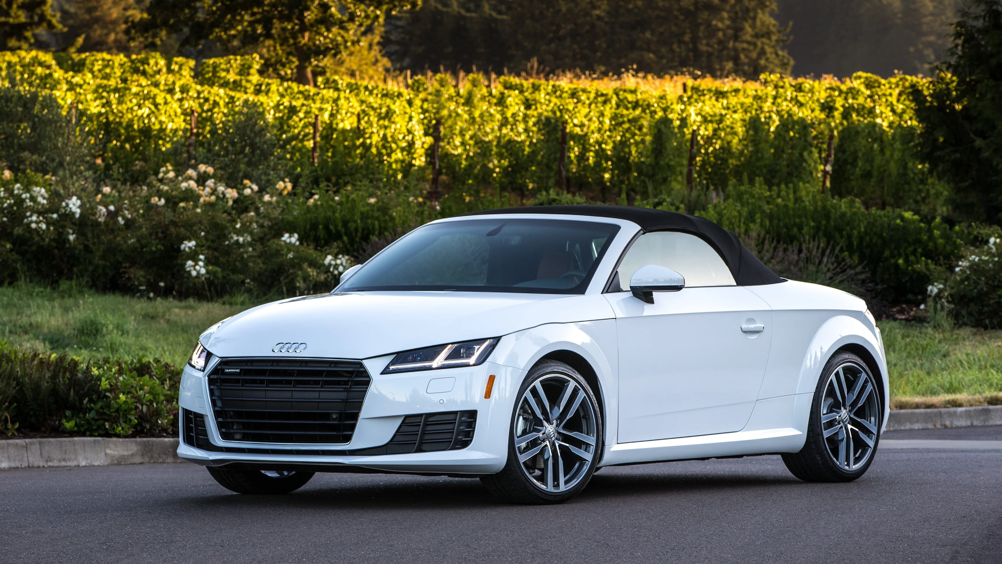 AUDI-TT-Roadster-5299_83.jpeg