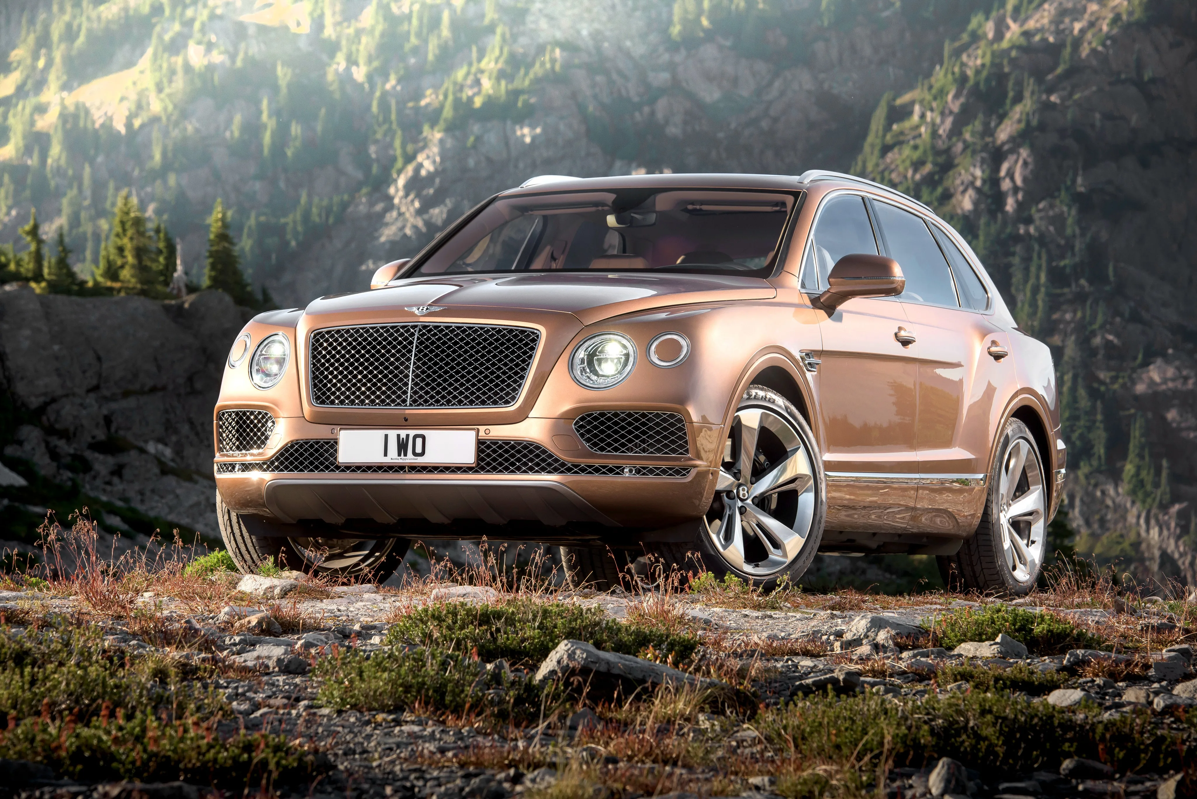 BENTLEY-Bentayga-5530_14.jpeg