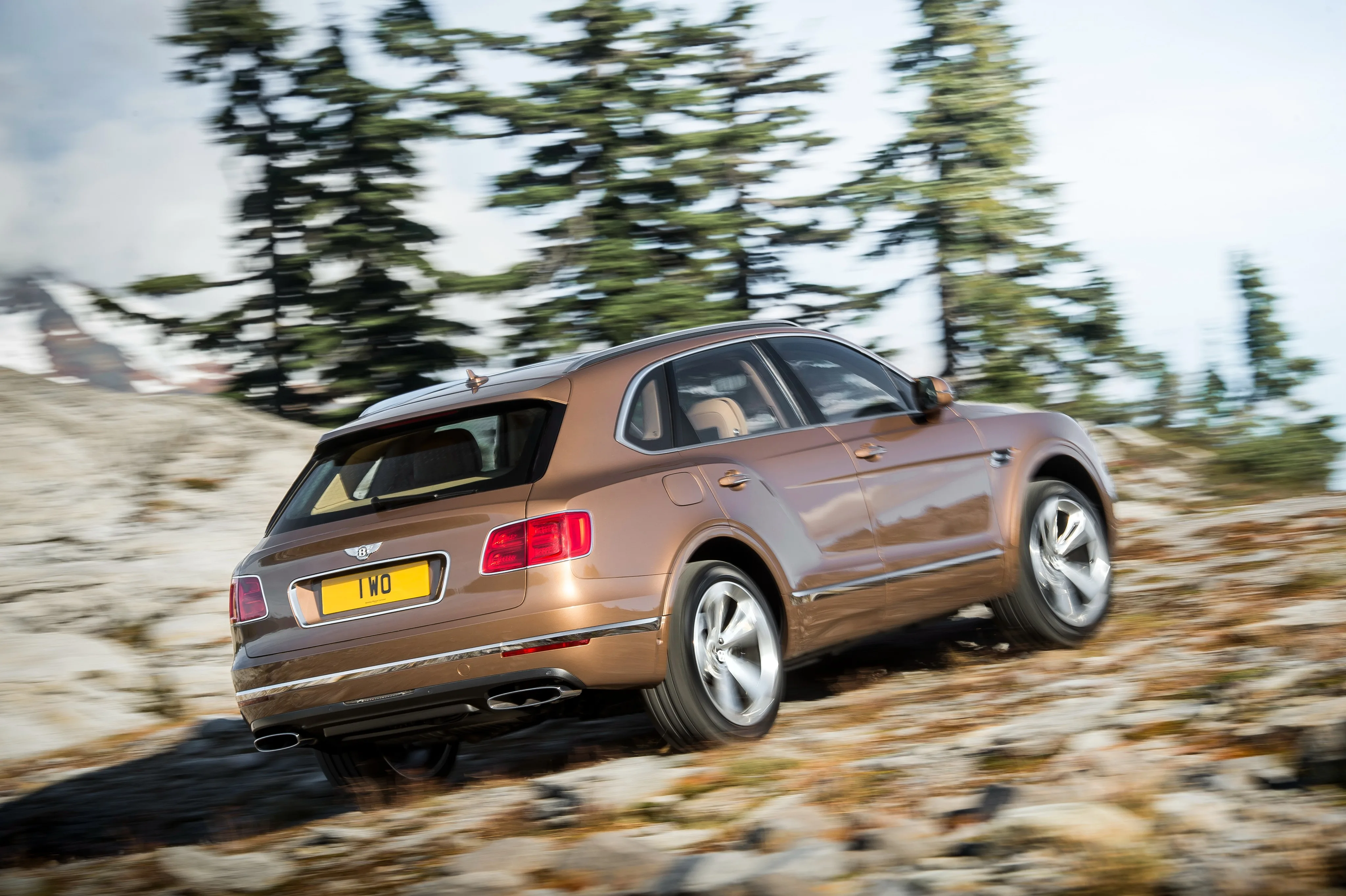 BENTLEY-Bentayga-5530_16.jpeg