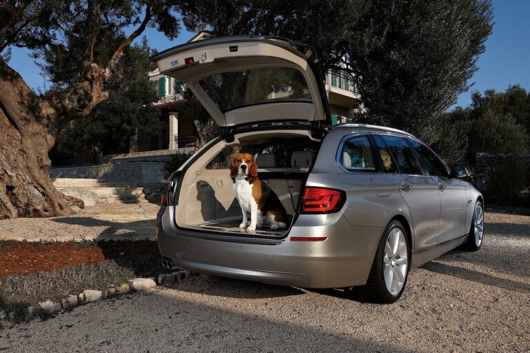 2010 BMW 5 Series Touring