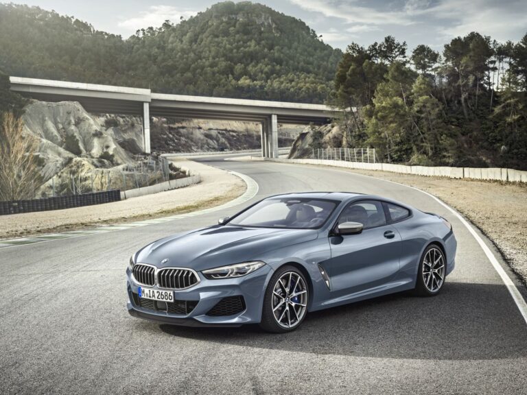 BMW 8 Series Coupe (G15) 2018-2022