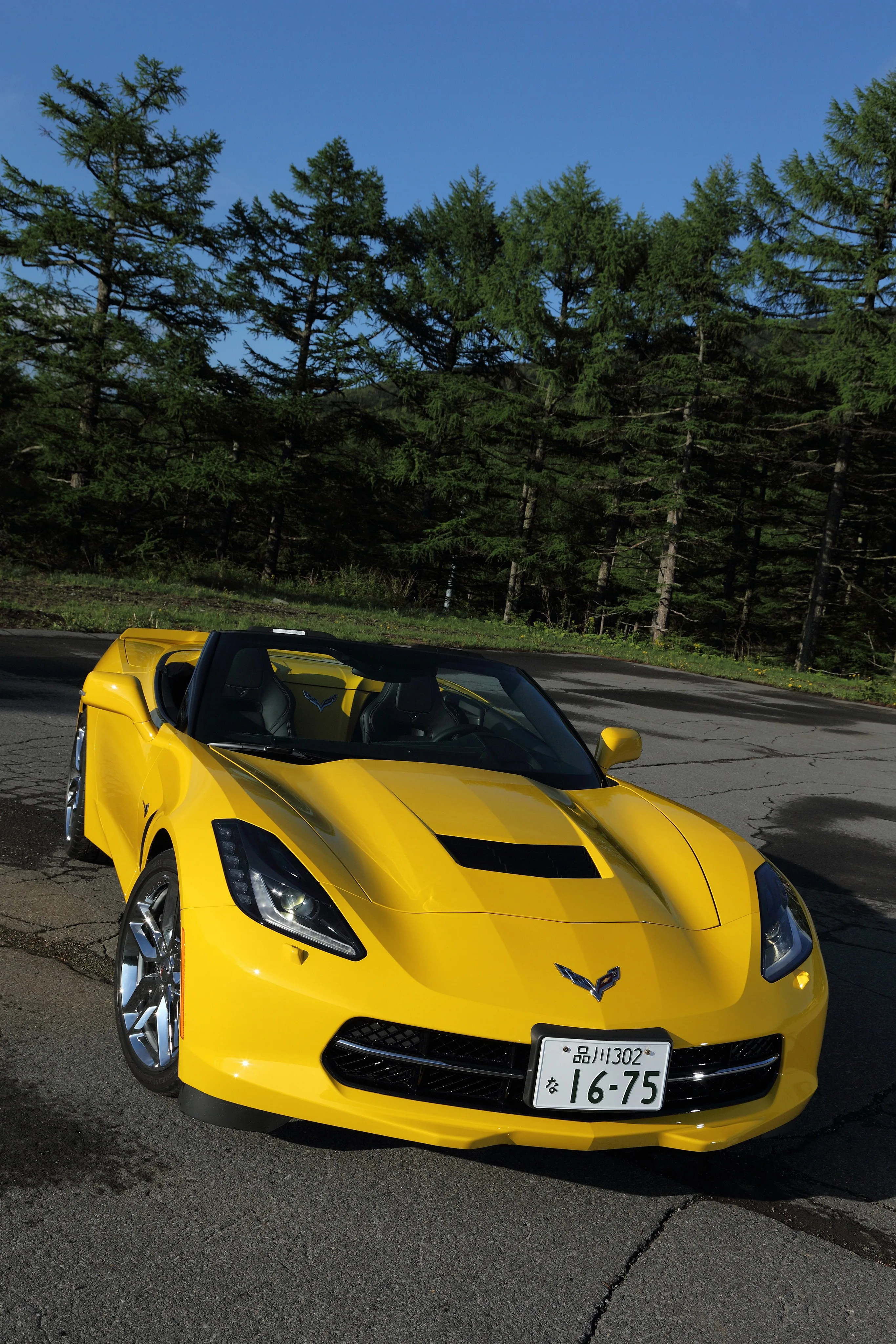 CHEVROLET-Corvette-Stingray-Convertible-C7-4870_39.jpg
