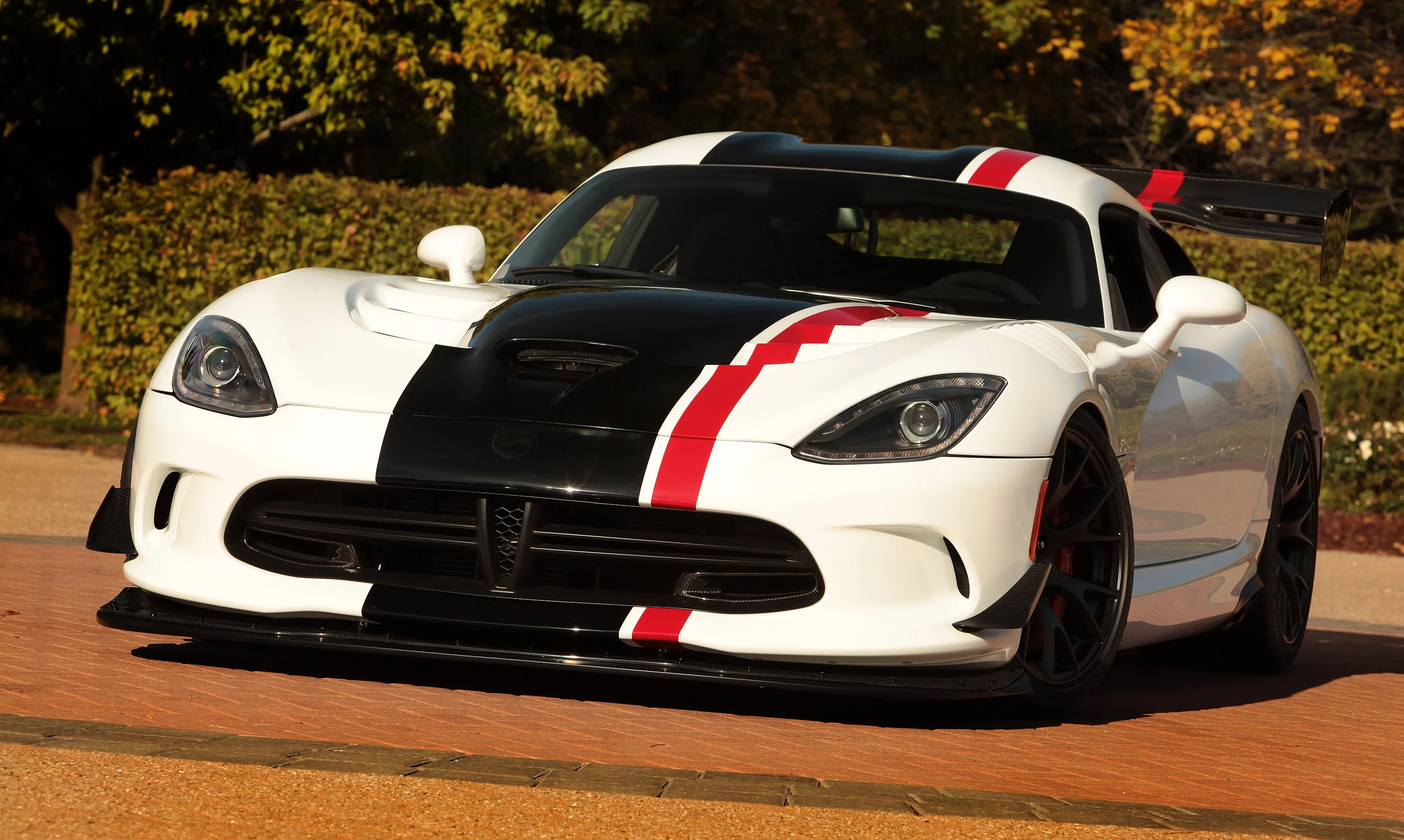 DODGE-SRT-Viper-4641_42.jpg