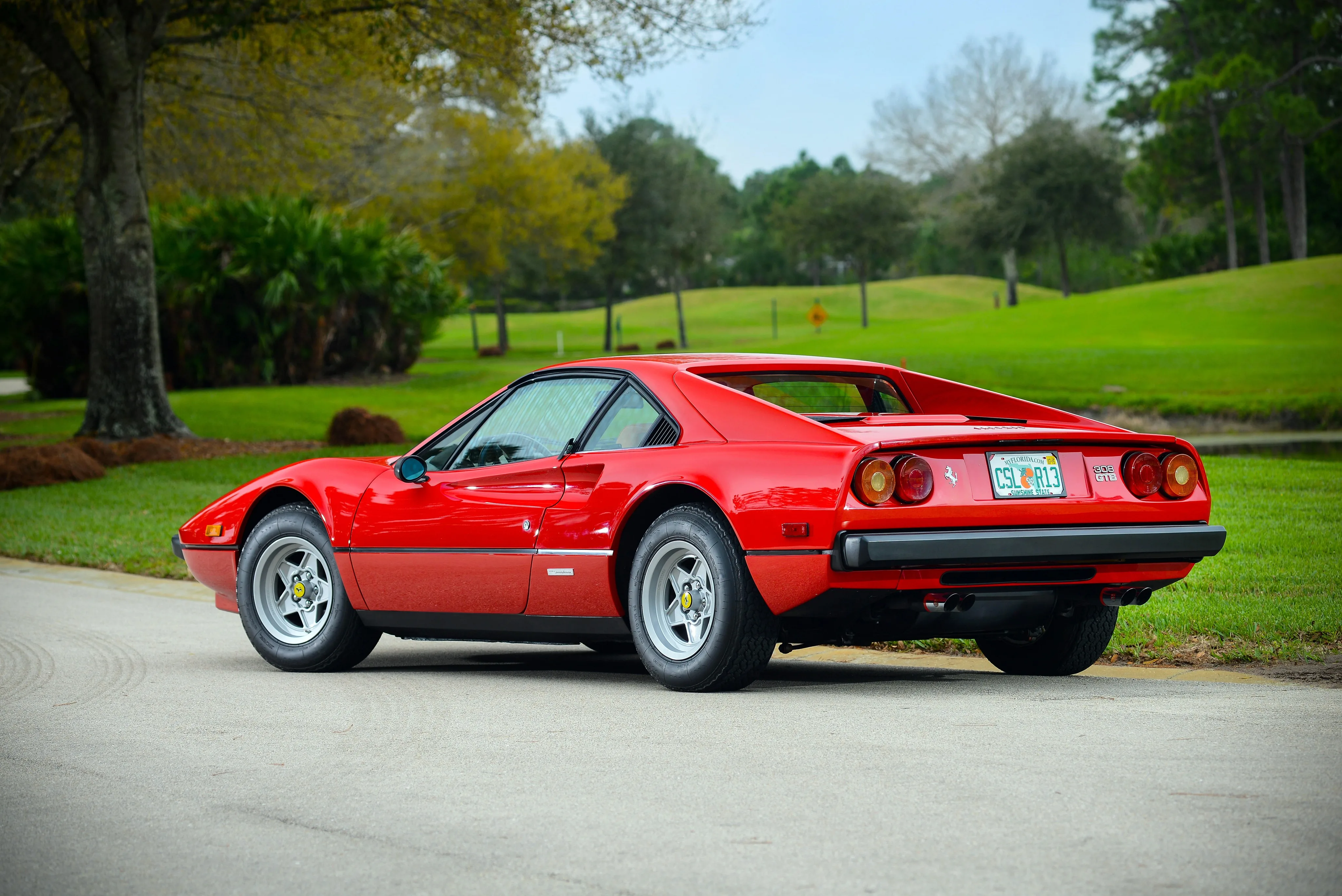 FERRARI-308-GTB-5496_40.jpeg