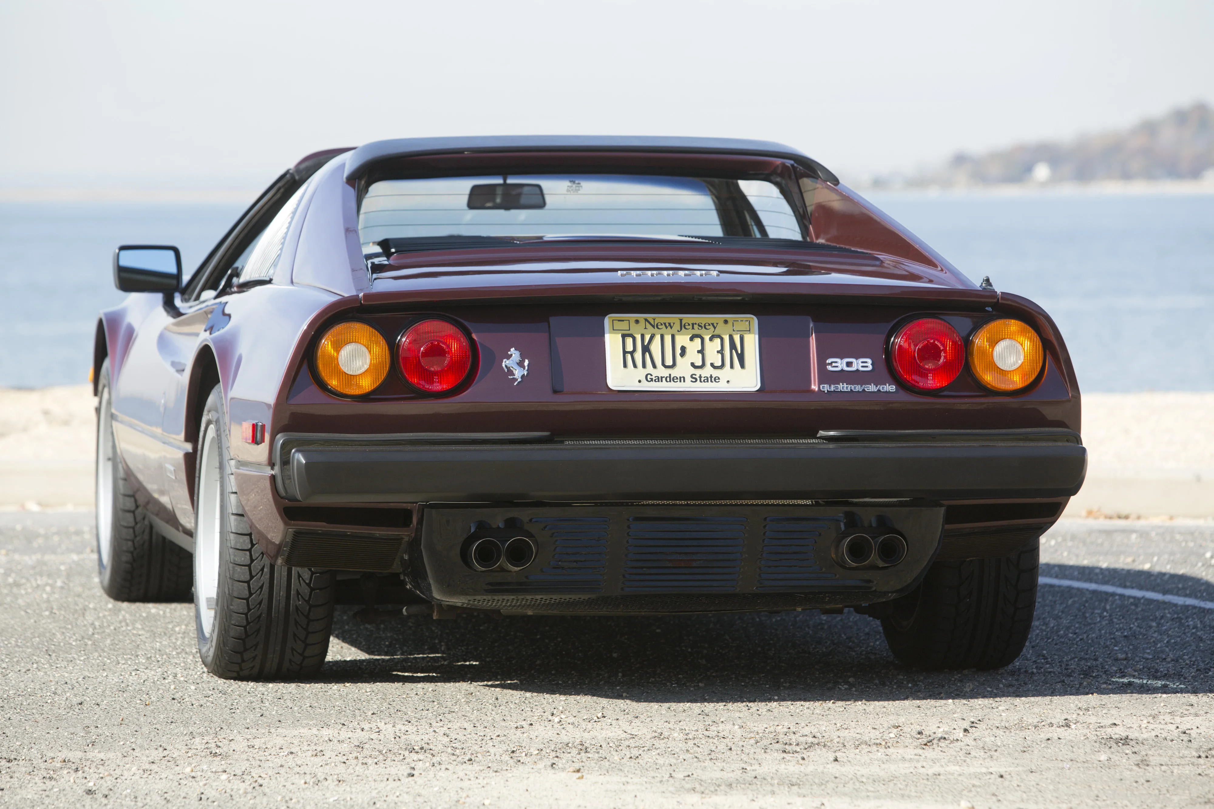FERRARI-308-GTSi-Quattrovalvole-3184_28.jpeg