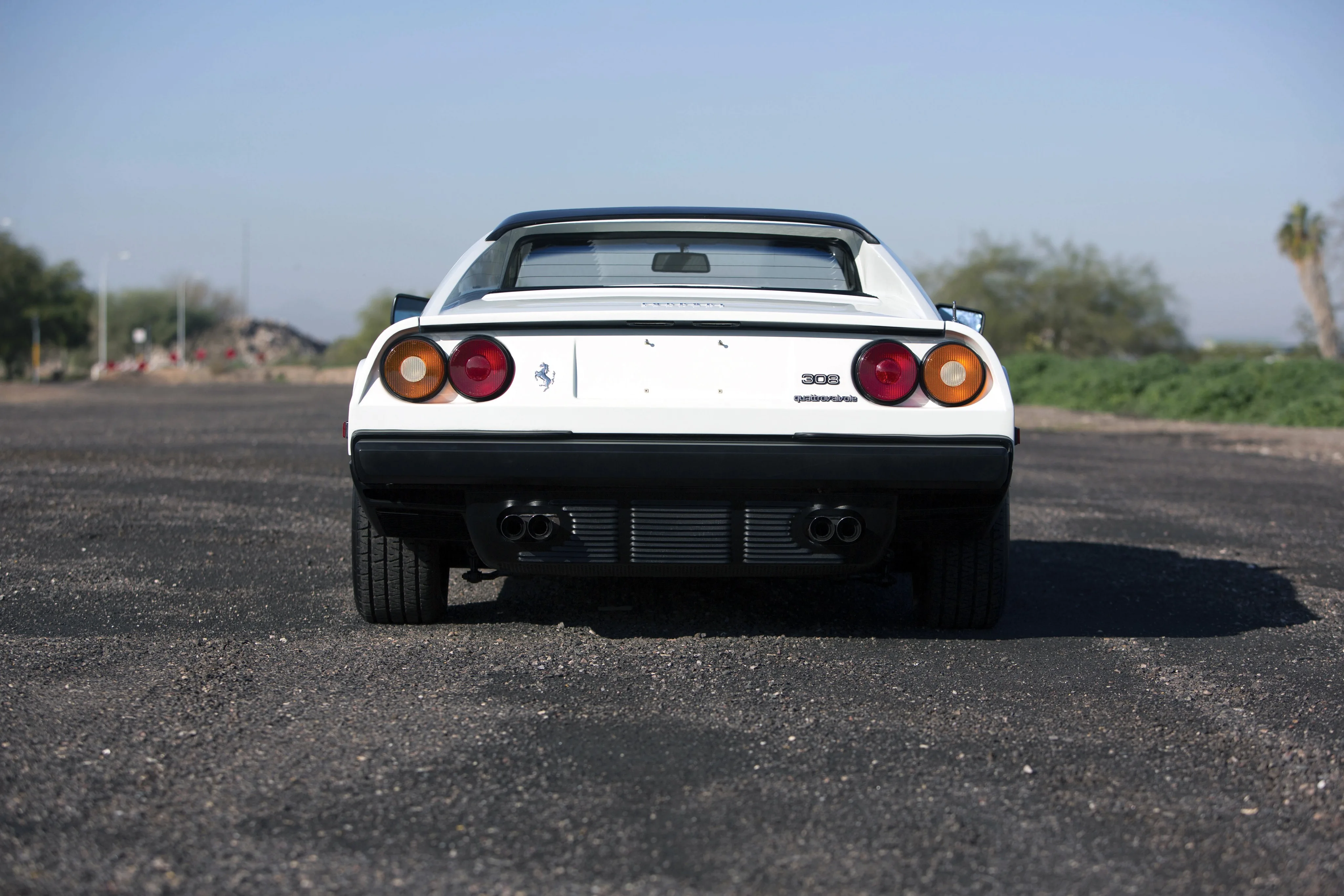 FERRARI-308-GTSi-Quattrovalvole-3184_30.jpeg
