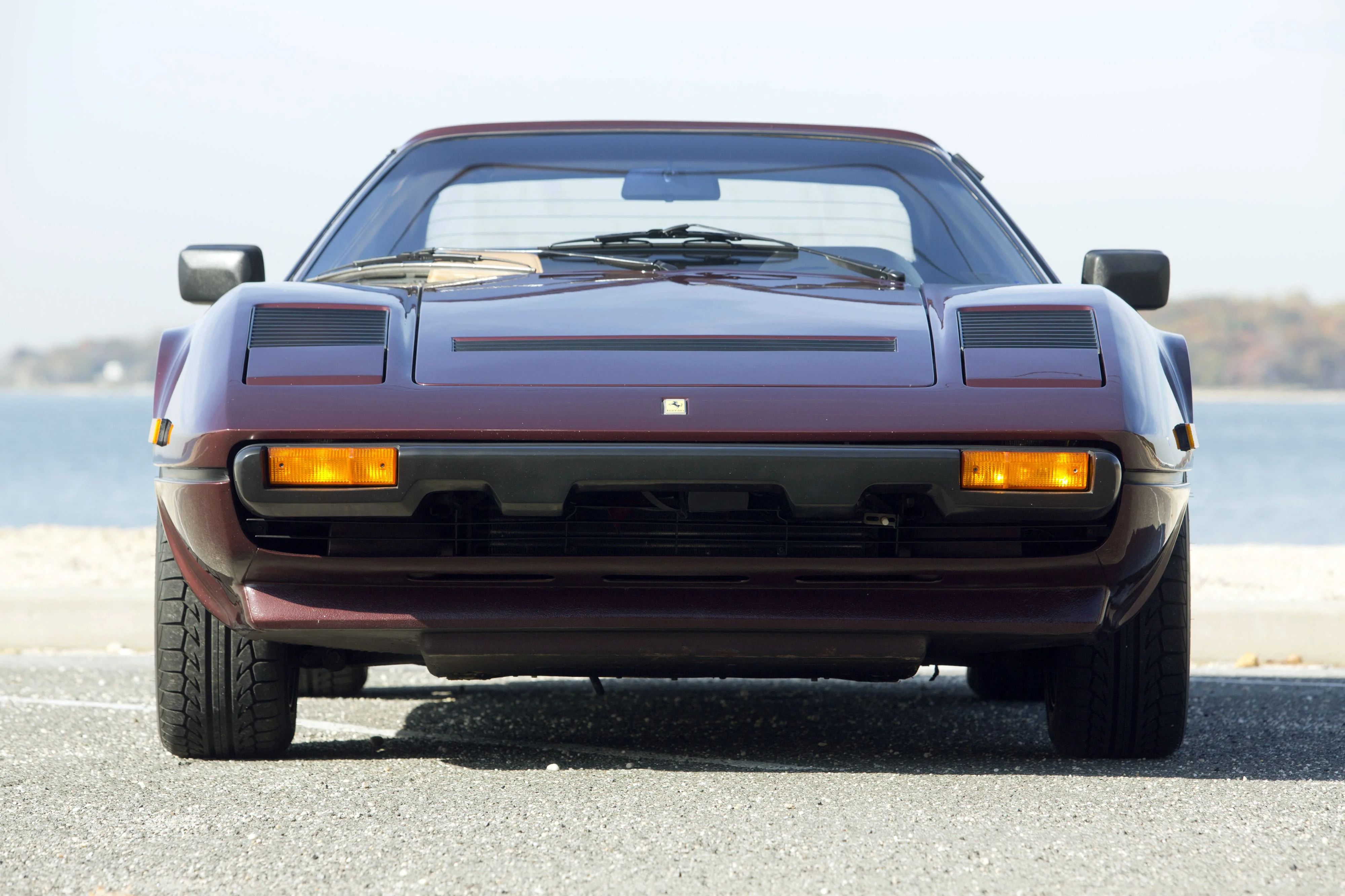 FERRARI-308-GTSi-Quattrovalvole-3184_35.jpeg