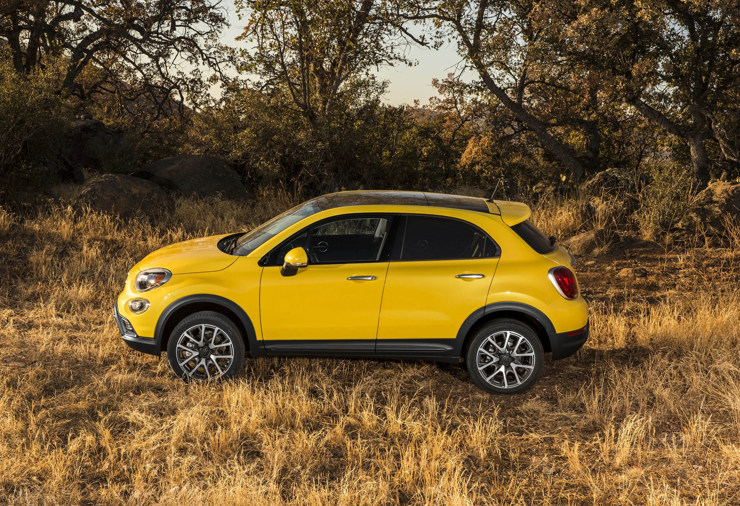 FIAT-500L-Trekking-5315_58.jpg