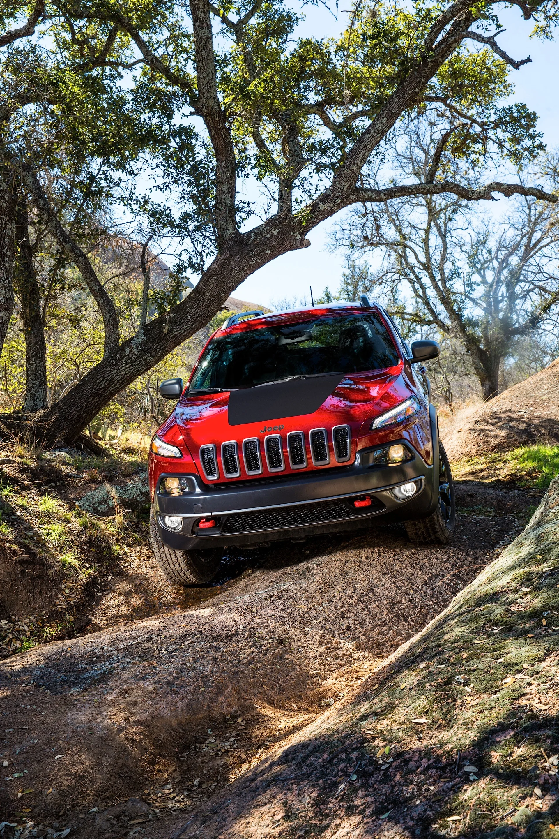 2014 Jeep Cherokee Trailhawk
