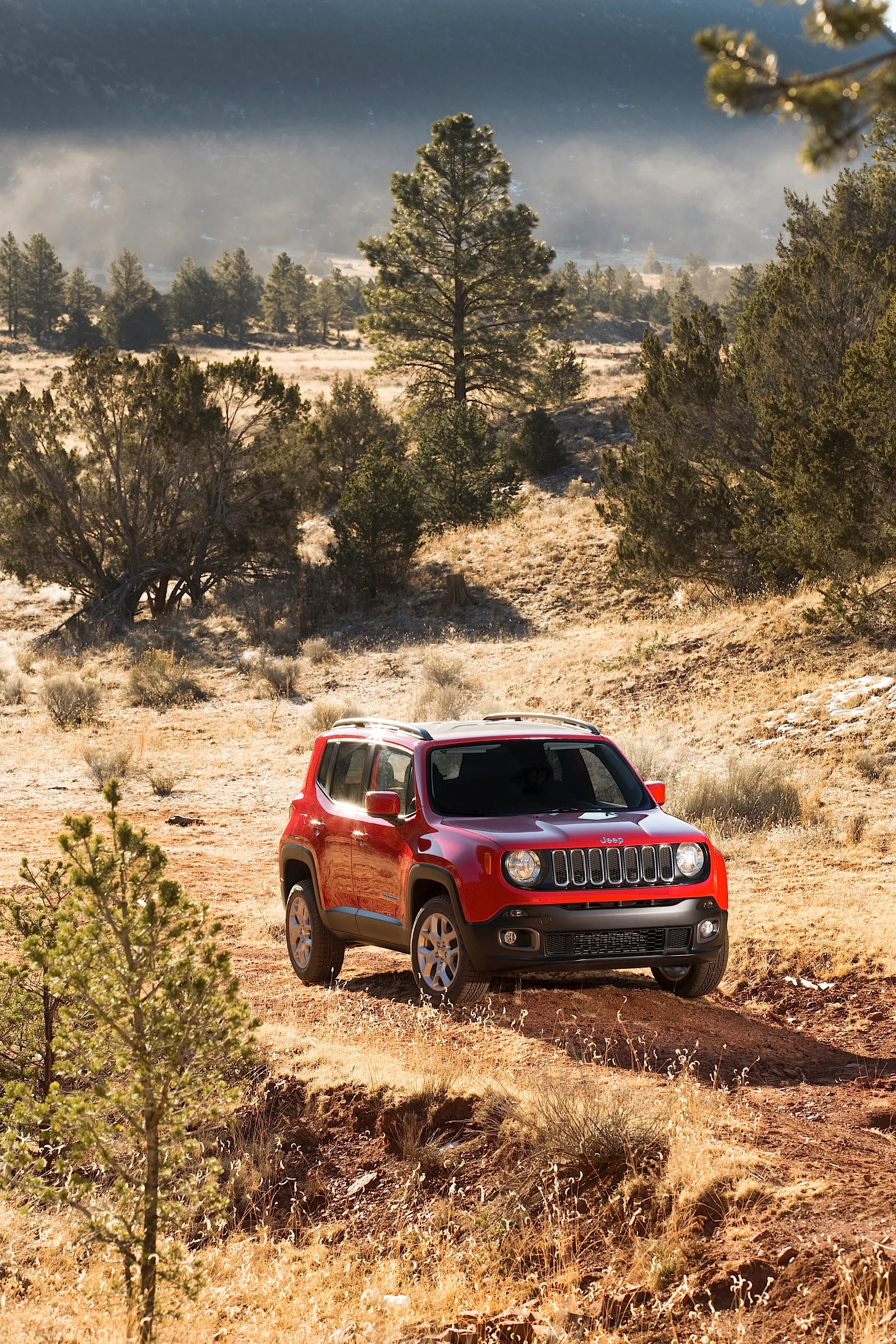 JEEP-Renegade-5112_49.jpg
