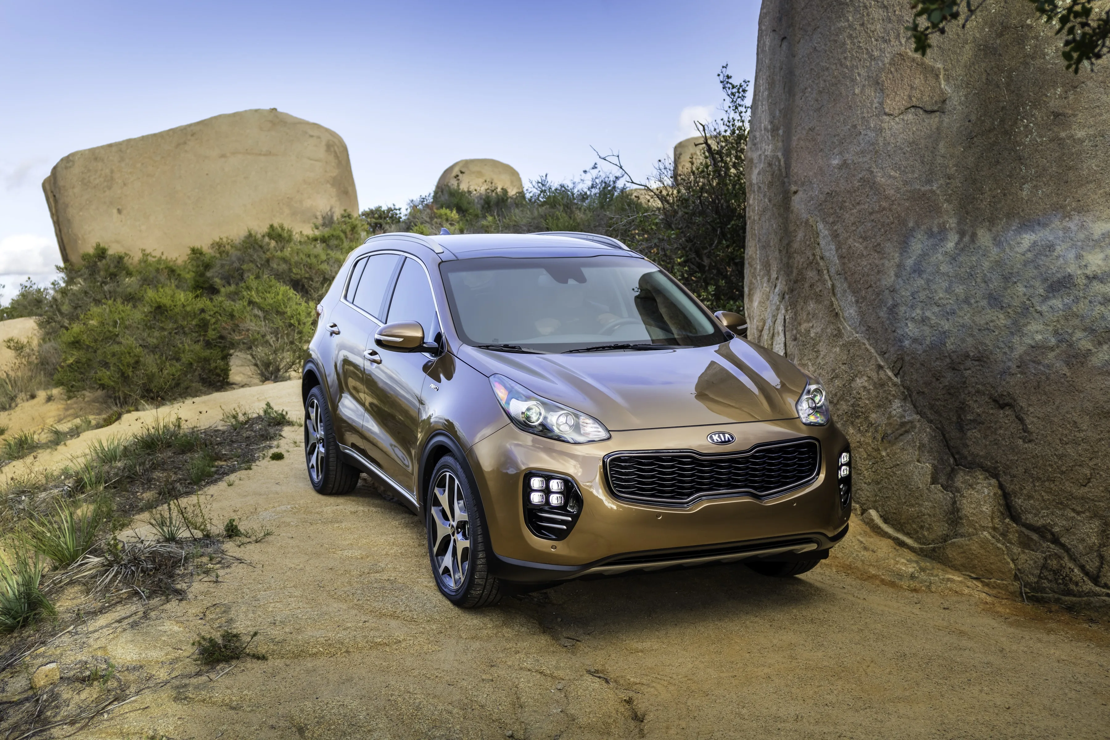 KIA-Sportage-5557_16-1.jpeg