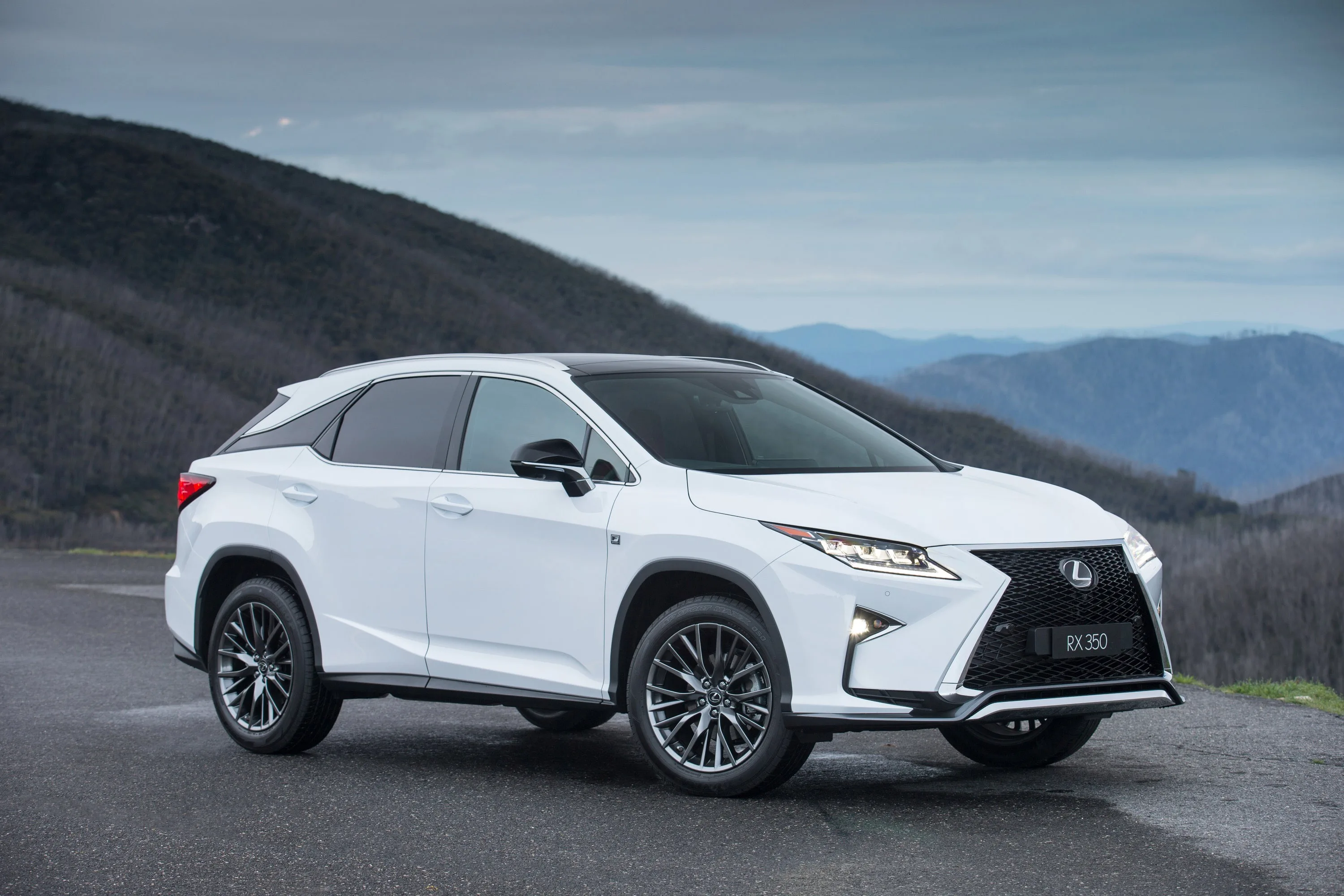 LEXUS-RX-5397_102.jpeg