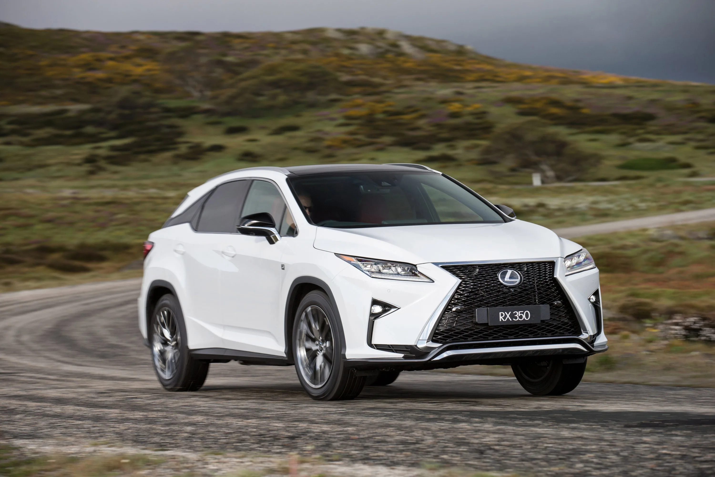 LEXUS-RX-5397_92.jpeg