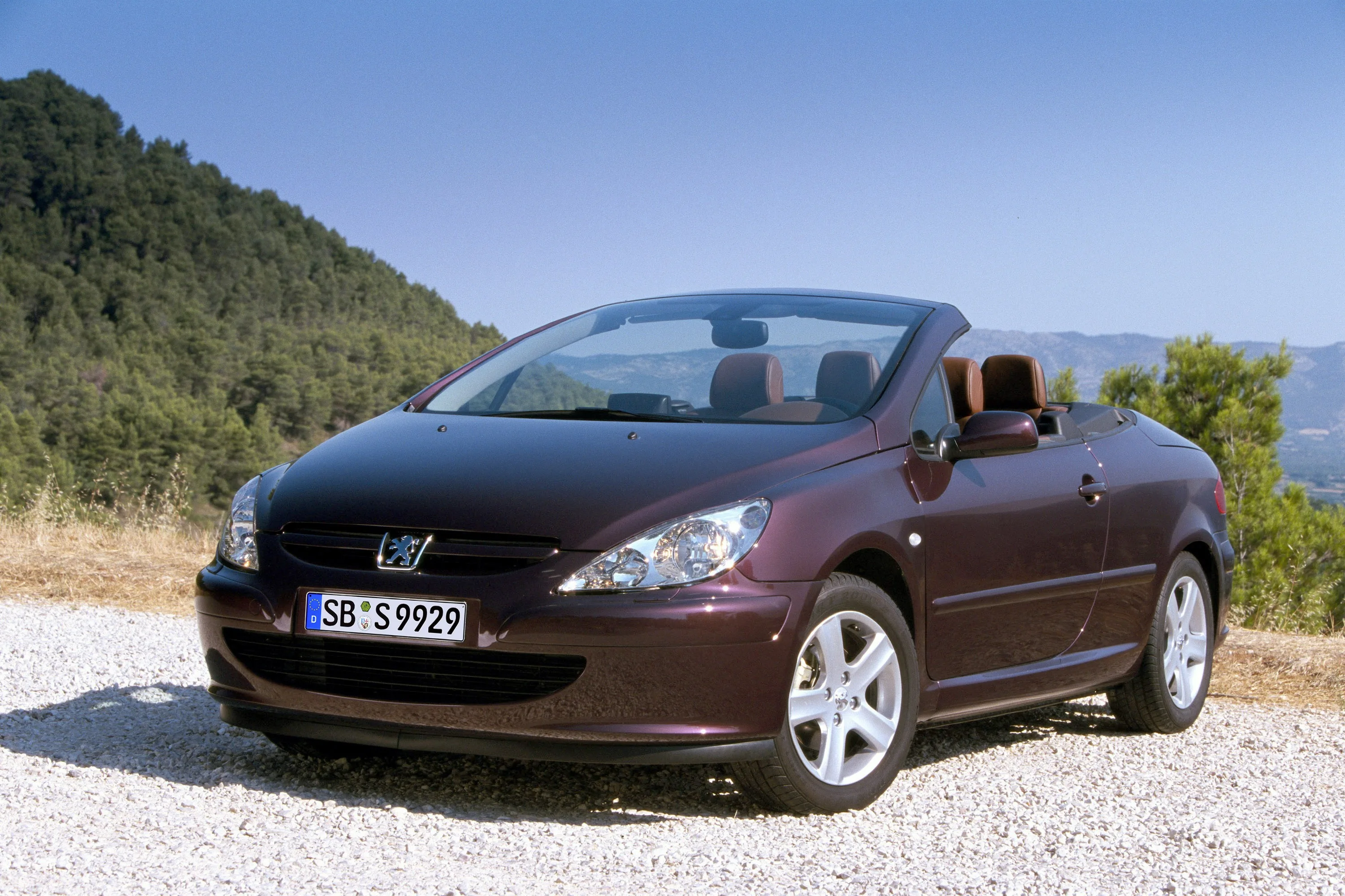 PEUGEOT-307-CC-487_55.jpeg