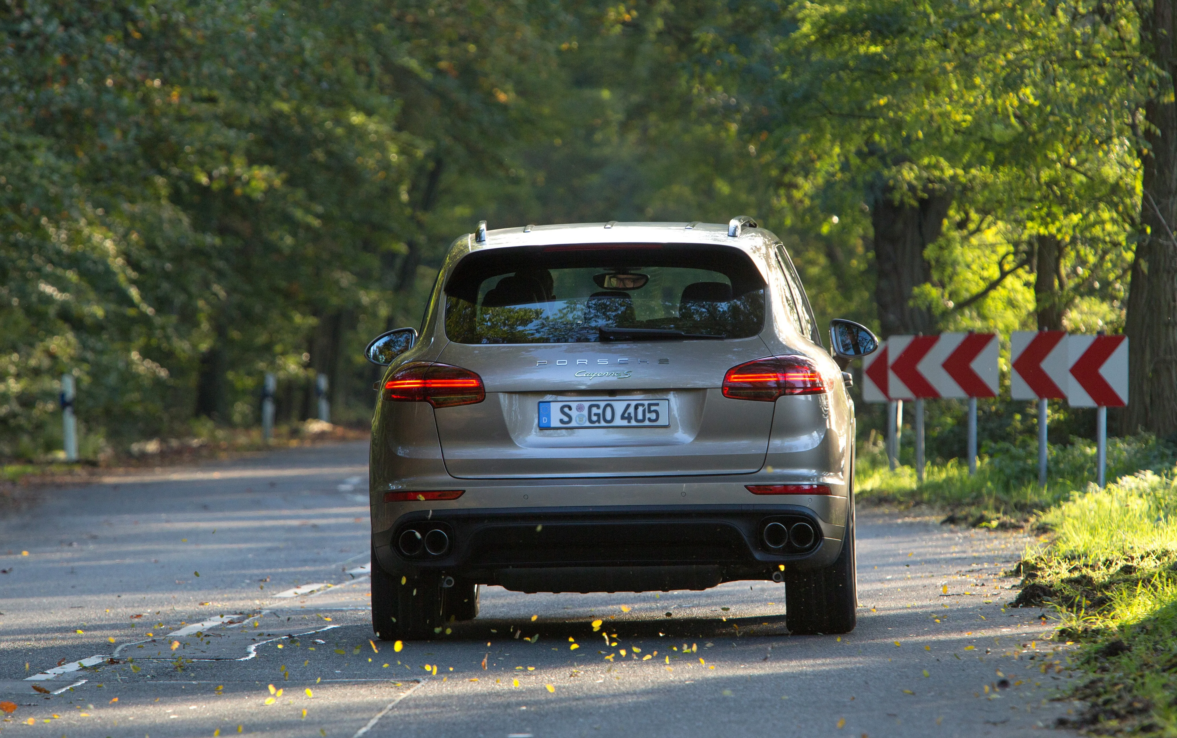 PORSCHE-Cayenne-S-E-Hybrid-5267_24.jpg