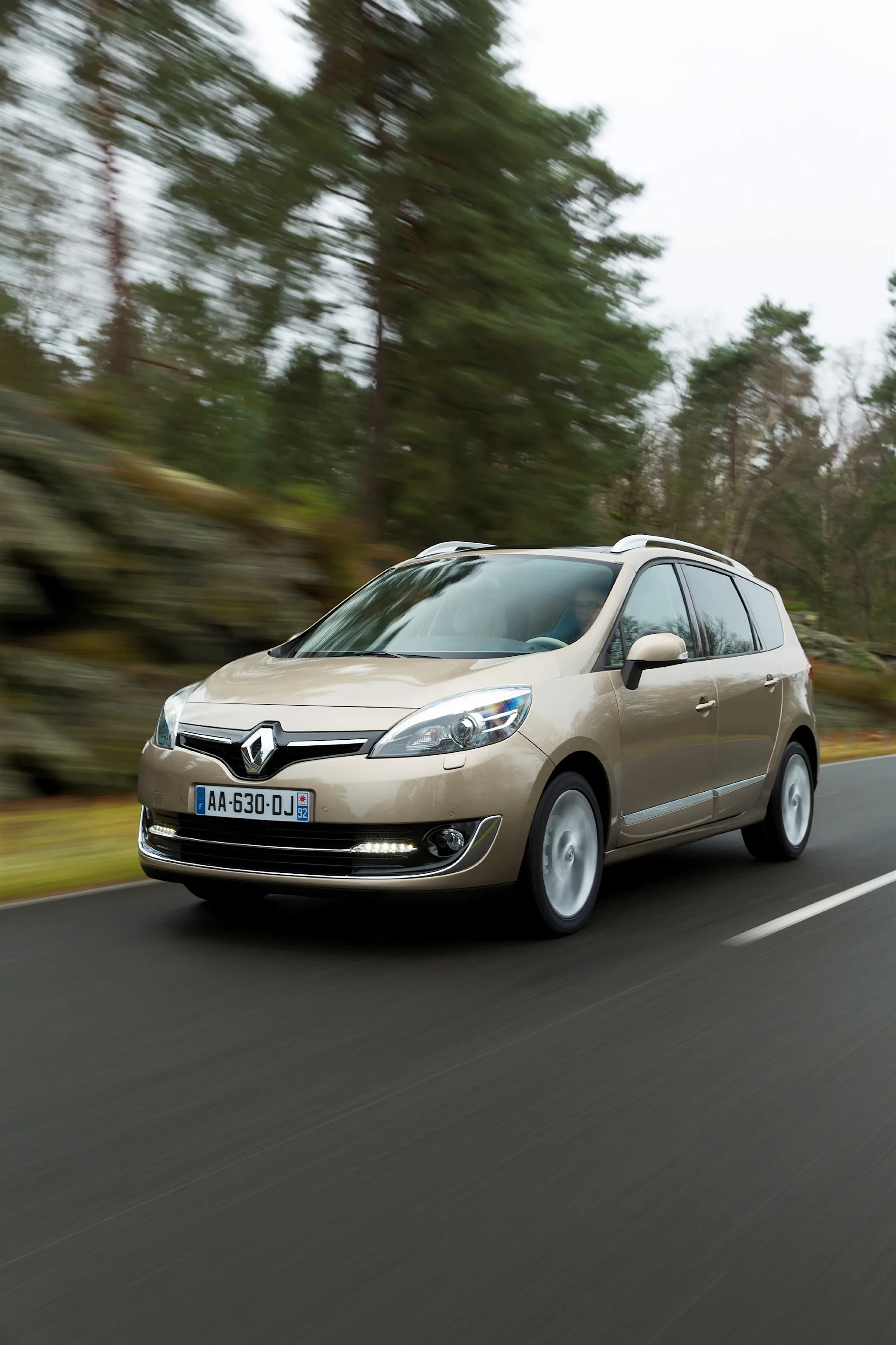 RENAULT-Grand-Scenic-4105_70.jpg