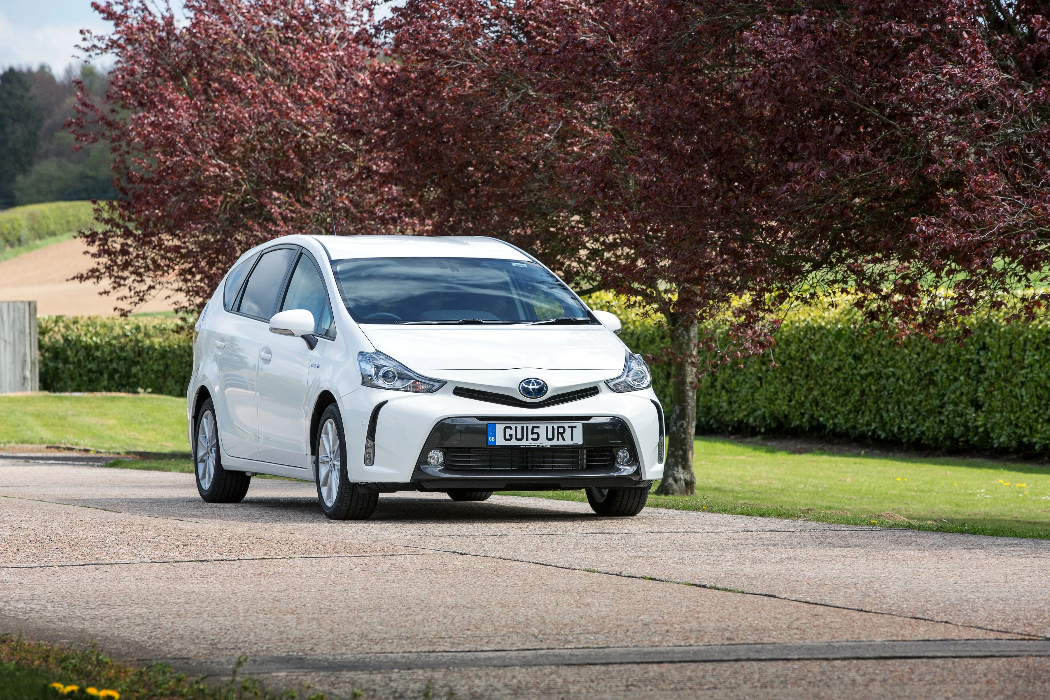 TOYOTA-Prius-v-Prius-5661_22.jpeg