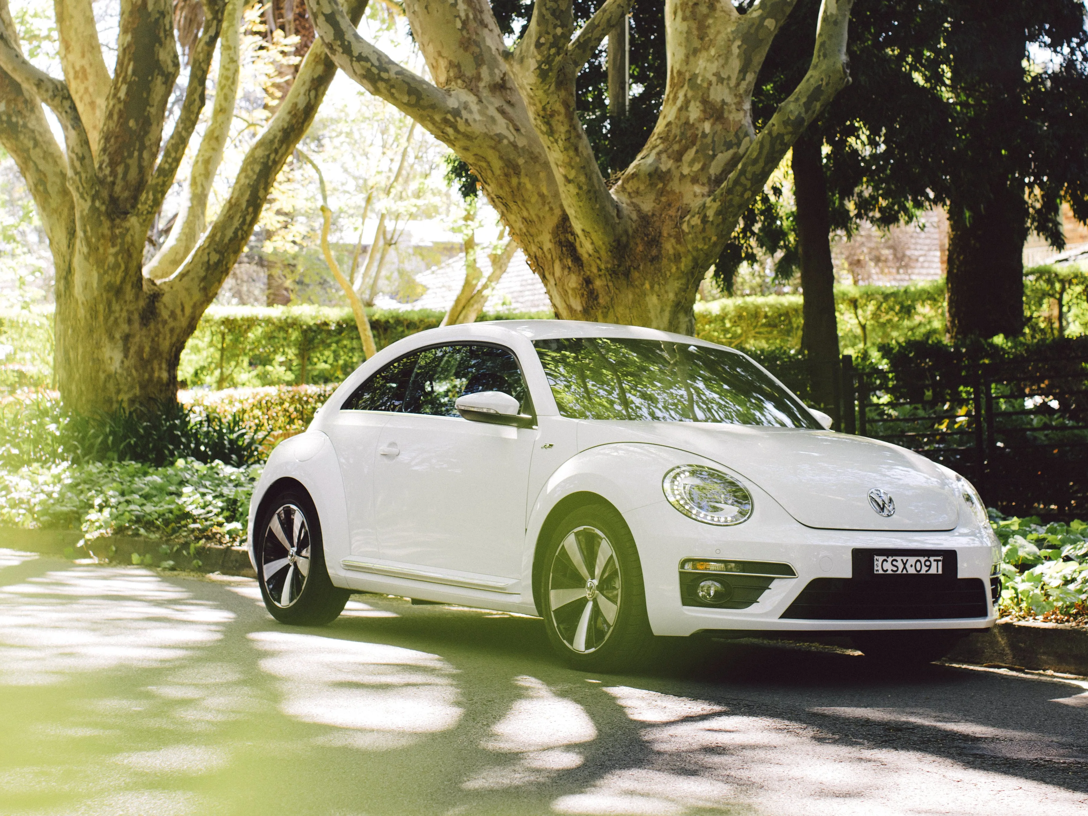 VOLKSWAGEN-Beetle-4346_74.jpg
