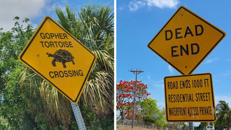 Norwegia wprowadza pułapki drogowe: znak z literą "T" myli polskich kierowców
