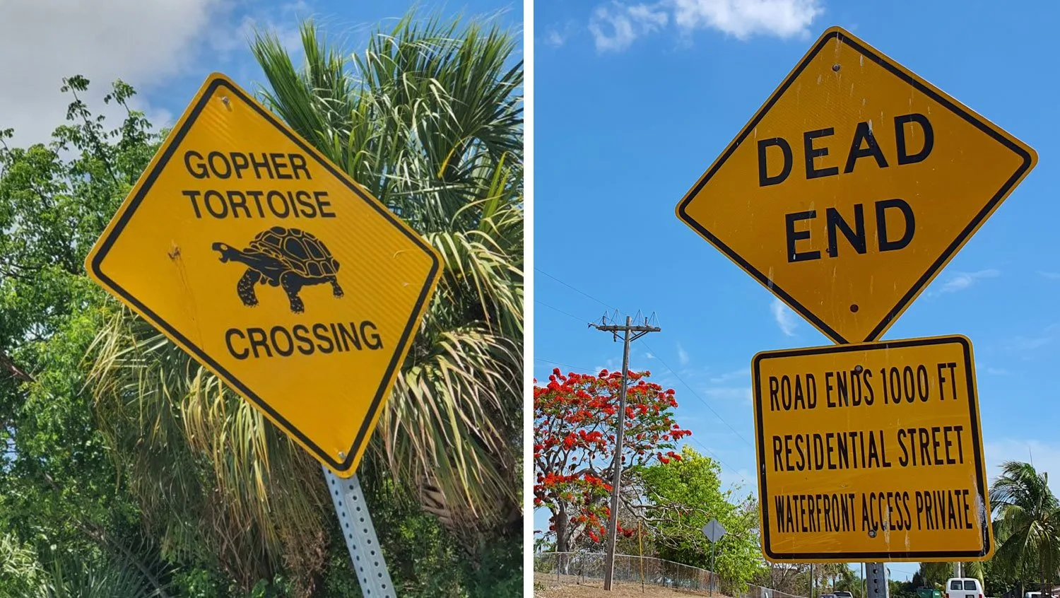 Norwegia wprowadza pułapki drogowe: znak z literą "T" myli polskich kierowców