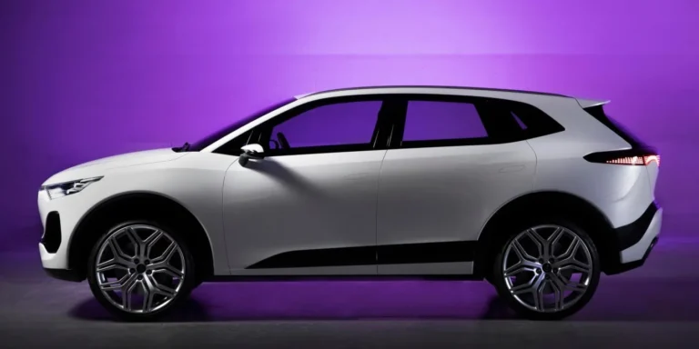 ElectroMobility Poland rezygnuje z Izery