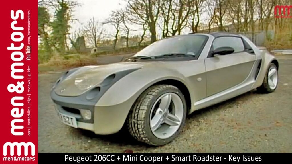 Peugeot 206cc: Przeciekająca pompa wody