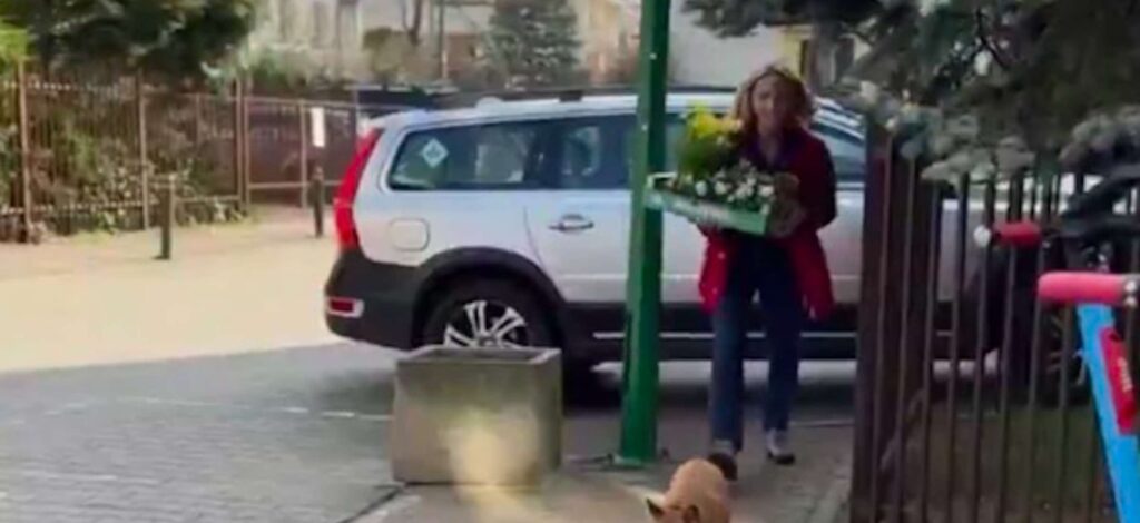 Zawirowania wokół parkowania Małgorzaty Trzaskowskiej: Czy naprawdę złamała przepisy?