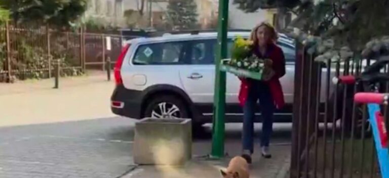 Zawirowania wokół parkowania Małgorzaty Trzaskowskiej: Czy naprawdę złamała przepisy?