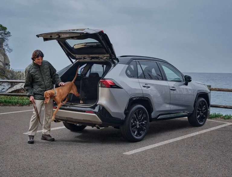 Nowa era hybryd: Toyota C-HR