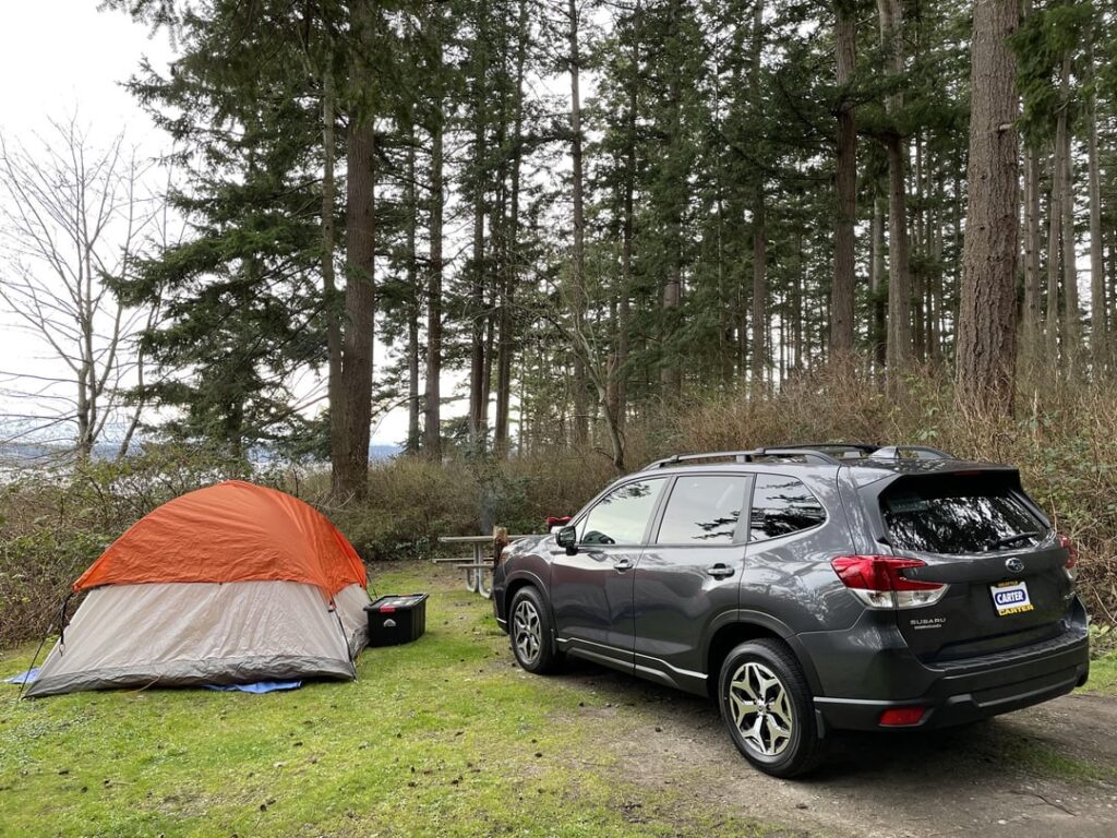 Silniki 2.0 TDI Volkswagena: Usterka