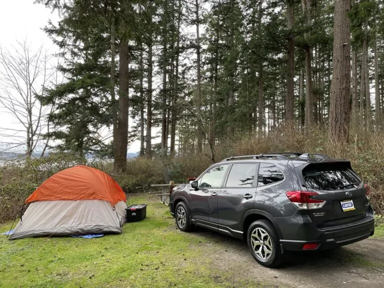 Silniki 2.0 TDI Volkswagena: Usterka