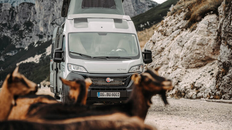 Fiat Ducato – zaskakujący lider sprzedaży w Niemczech mimo 18-letniej obecności na rynku